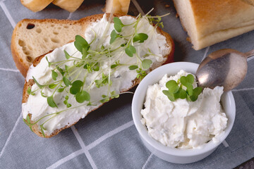 Sandwich with cottage cheese. Healthy eating concept