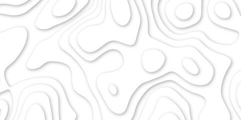 Abstract wavy line 3d paper cut white background. abstract white background with smooth wavy layers. silver grid map line topography mount contour map .