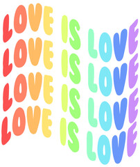 Mardi Gras Love is love Gay Pride Rainbow New Orleans Tshirt Graphic Fashion logo Trending Apparel Cute Emblem Slogan