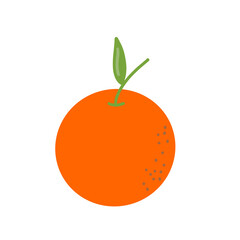 Orange fresh fruit doodle art