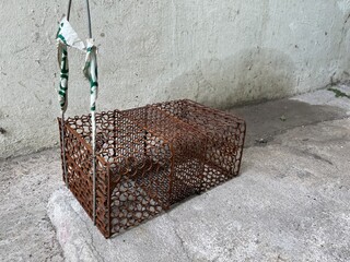 Old and rusty mouse trap cage with hook bait and swing door for catching mouse
