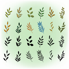 Set of floral leaves on boho style hand drawing vector illustration minimalist design.