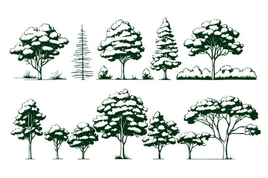 Set hand drawn architect tree sketches. Perfect for architectural illustration landscape