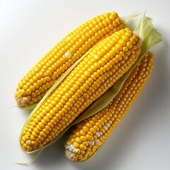 Top view of fresh corn on white background.
