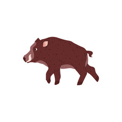 Wild boar vector isolated illustration, forest animal of the tundra and taiga, nature creature, wild hog boar with tusks