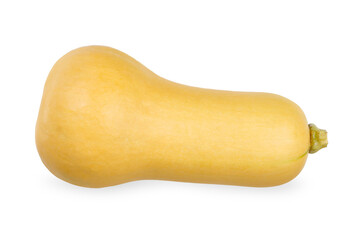 Butternut isolated on white background