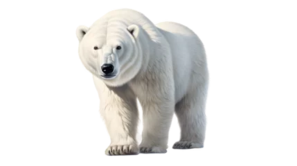 Foto op Canvas Polar Bear PNG, Arctic Mammal, Polar Bear Image, White Fur, Ice Habitat, Wildlife Photography, Conservation Icon, Arctic Wildlife        © Vectors.in
