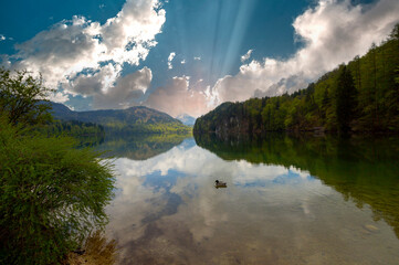 A beautiful panoramic view of the popular Alpsee lake