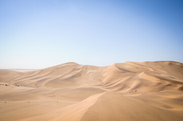 Fototapeta na wymiar big sand dunes under blue sky in namibia