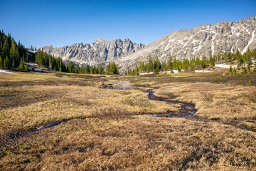 Wetland scenery in the Indian Peaks Wilderness, Colorado