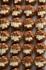 Coco Powdered and frosted Eclair Choux