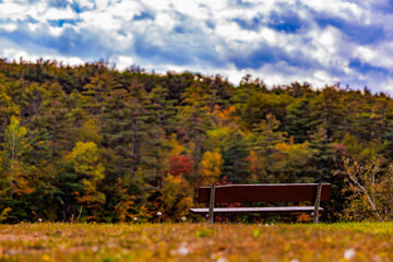 Obraz premium View of bench overlooking mountain in fall