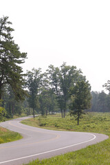 Fototapeta premium Foggy wooded scene with winding road