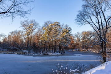 View of island in frozen pond