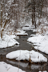 River winding through snowy woods