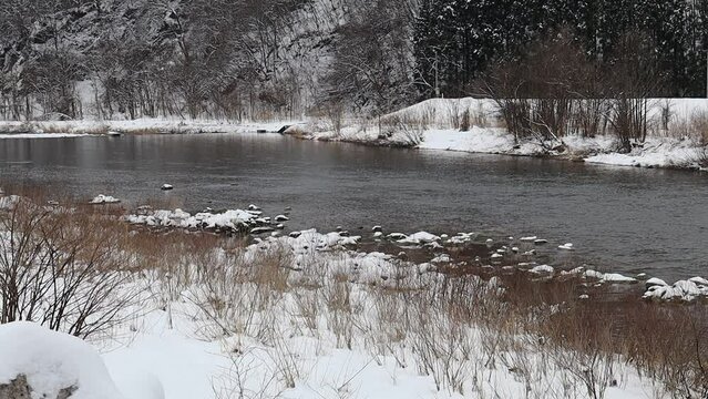冬の川　雪景色