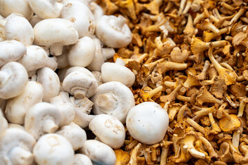 Mushrooms on display at a market stall