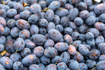 Fototapeta premium plums for sale at the farmers market. photo as a background