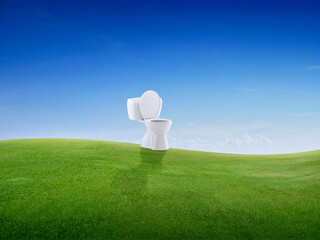 Toilet bowl on green meadow on small hill and blue sky with clouds