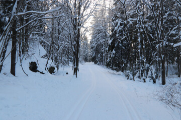 Winter