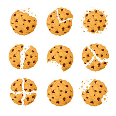 Delicious chocolate chip cookie hand drawn cartoon style isolated on a white background