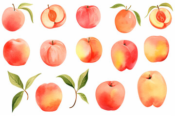Watercolor painting Peach fruit symbols on a white background. 