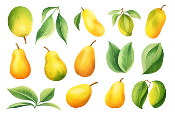 Watercolor painting Mango fruit symbols On a white background. 