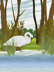 A white swan stands on the shore of a pond. Shore of a lake with tall green grass and trees. Realistic vector vertical landscape