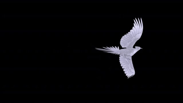 White Phoenix Bird - Flying Transition - 1 - Realistic artistic 3D animation isolated on transparent background with alpha channel