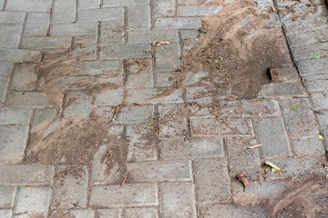 Garden soil eroded by rain washes away over a paved area