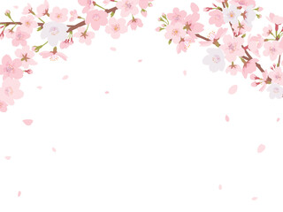 Obraz na płótnie Canvas 桜のフレーム素材