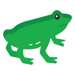  Amphibians with unique life cycles, transitioning from aquatic tadpoles to terrestrial adults.