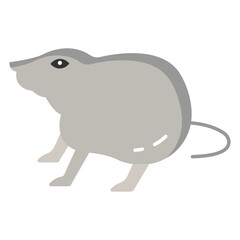  Highly adaptable rodents, displaying intelligence and resourcefulness in various environments.