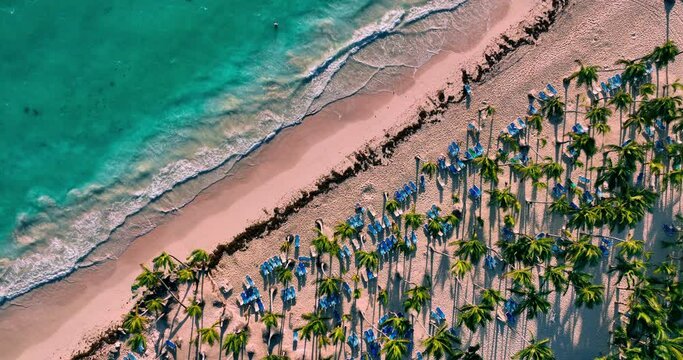 Tropical island shore with exotic palm trees on the beach, relaxing people, caribbean sea Punta Cana, Dominican Republic landscape