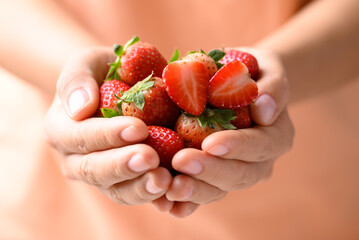 Fresh strawberry fruit holding by woman hand, Healthy eating