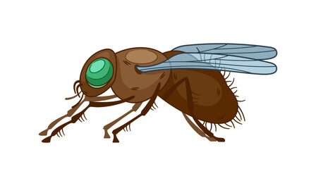 Insect Fly Side View Pose. Vector Agile Aerial Creature With Multifaceted Eyes And Delicate Wings, Pollinator, Predator