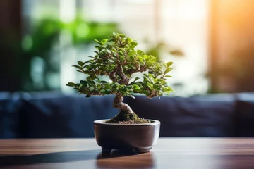 Foto op Plexiglas A beautiful piece of Asian style bonsai art depicting an elegant tree in a flower pot. © Iryna