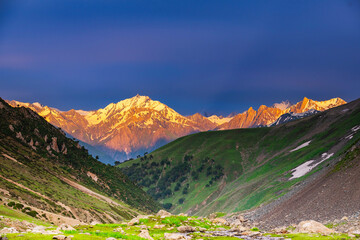 Himalayas Landscape the mountains view Himalayan region Nepal. Meadows, alpine trees, Wildflowers...