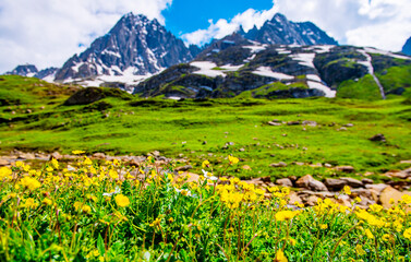 Fototapeta na wymiar Himalayas Landscape the mountains view from the top of Sonmarg, Kashmir valley in the Himalayan region Nepal. Meadows, alpine trees, Wildflowers and snow on mountain. Asian travel and nature in India.