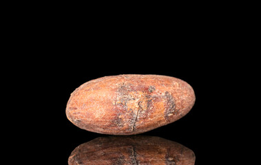 One cocoa bean, macro, isolated on black background.
