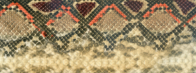 Snake skin leather textured reptile print. Pyton animal leather background.  - 705537917
