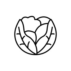 Cabbage outline icons, minimalist vector illustration ,simple transparent graphic element .Isolated on white background