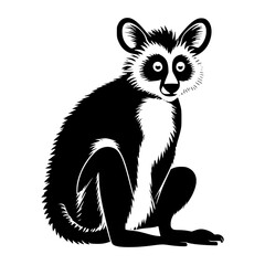 black and white squirrel Lemur  Vector Illustration.