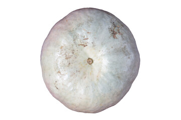 Isolated one grey pumpkin topview