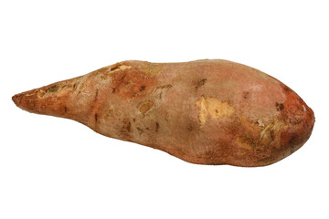 Sweet potato without background. Ripe camote.