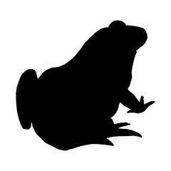 silhouette of a black frog or toad