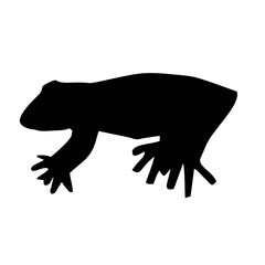 silhouette of a black frog or toad