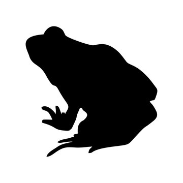 recommend clip art: silhouette of a black frog or toad