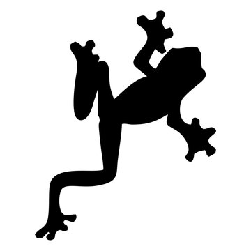 silhouette of a black frog or toad