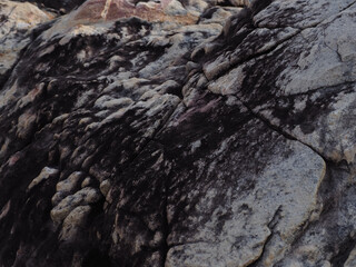 strong rock For the background, it conveys the grandeur of nature.